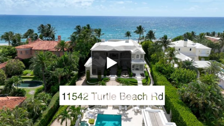 11542 Turtle beach